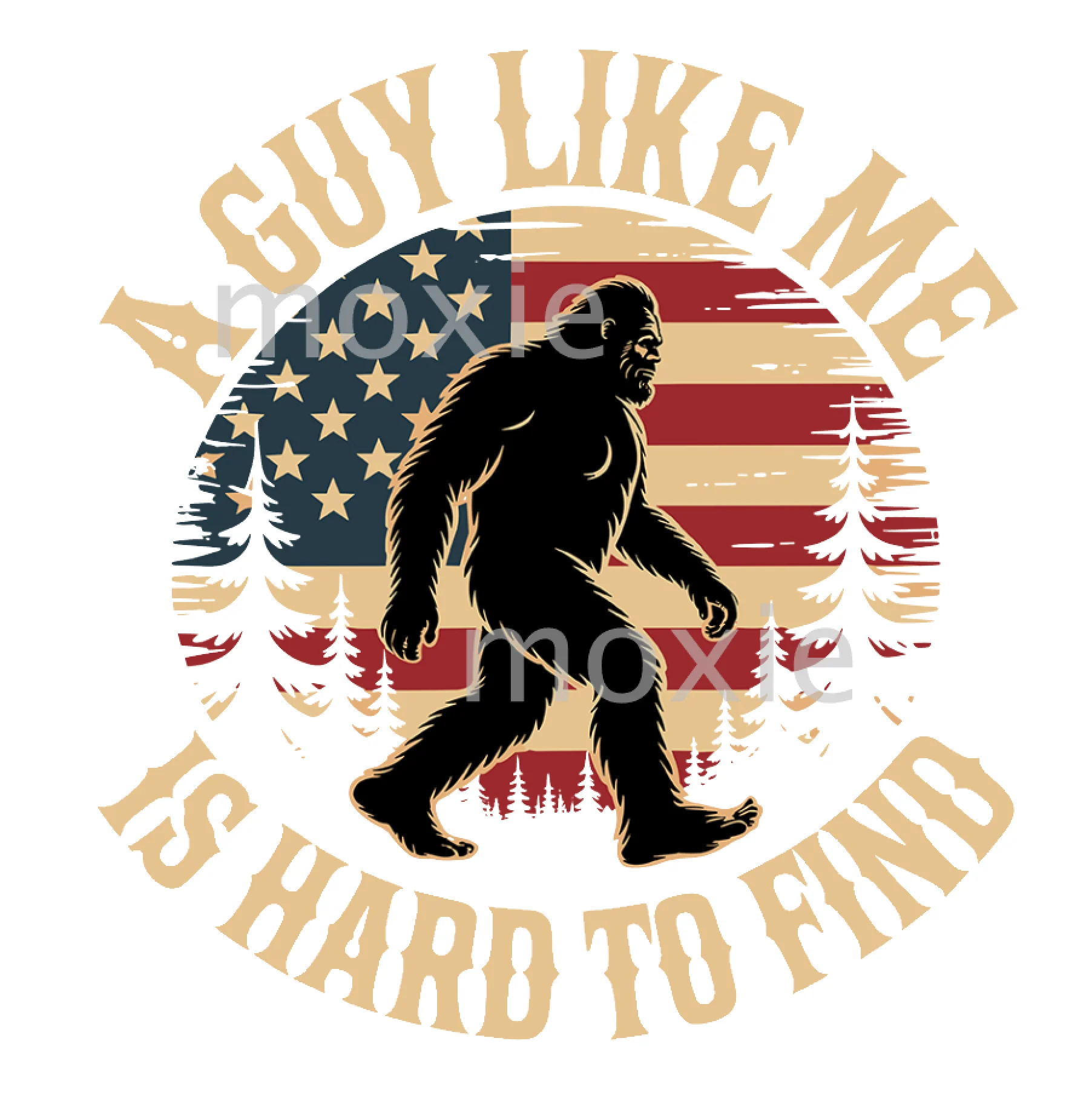 A Guy Like Me Is Hard To Find Decal & Acrylic Blank COMBO