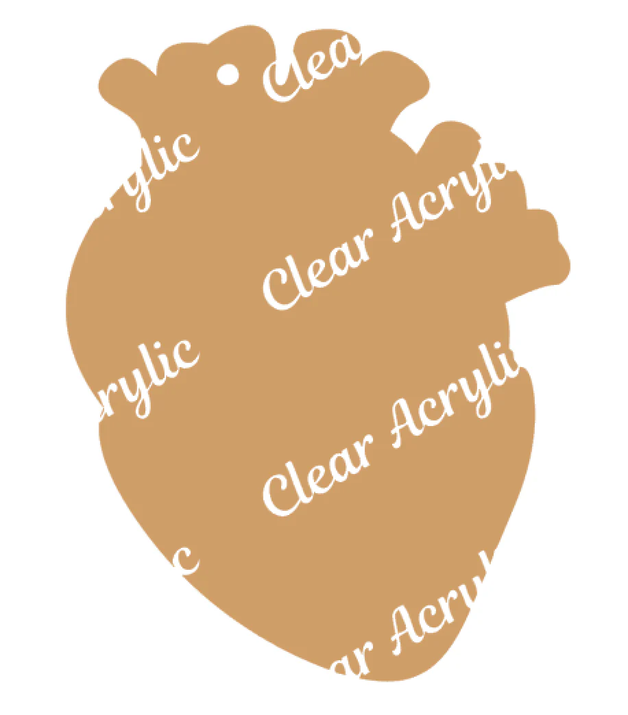 Anatomical Heart Acrylic Blank