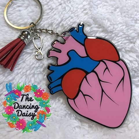 Anatomical Heart Acrylic Blank - Image 3