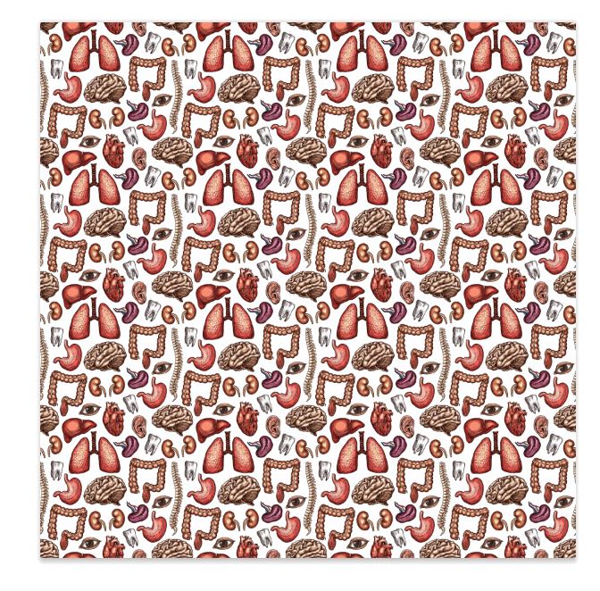 Anatomy Printed Vinyl