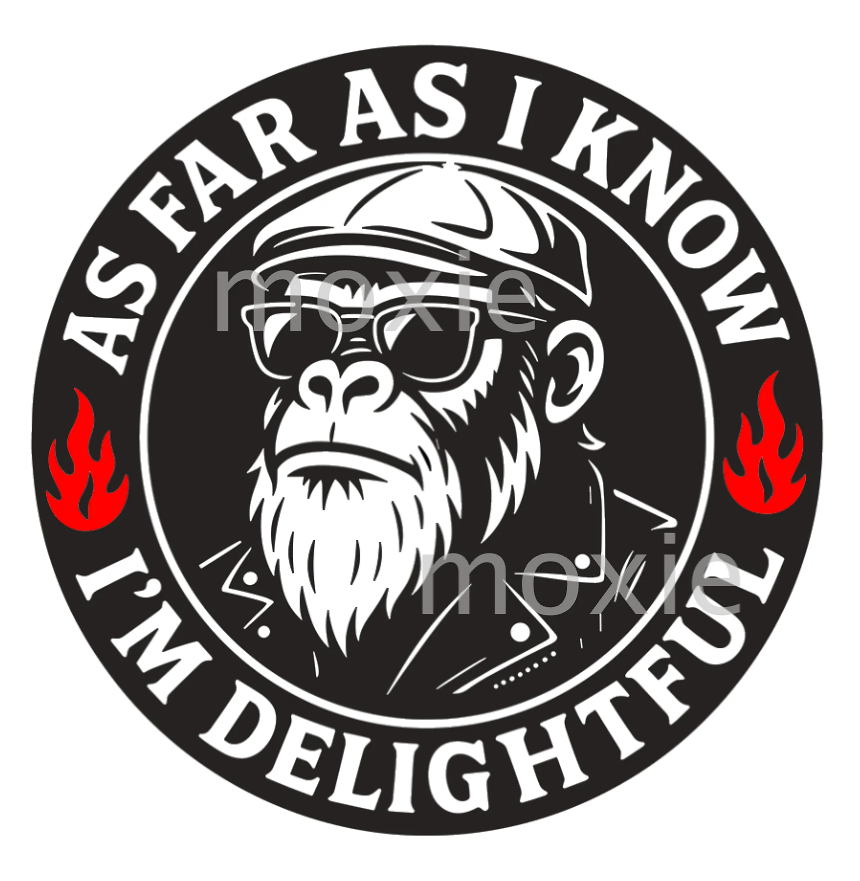 As Far As I Know I'm Delightful Decal & Acrylic Blank COMBO