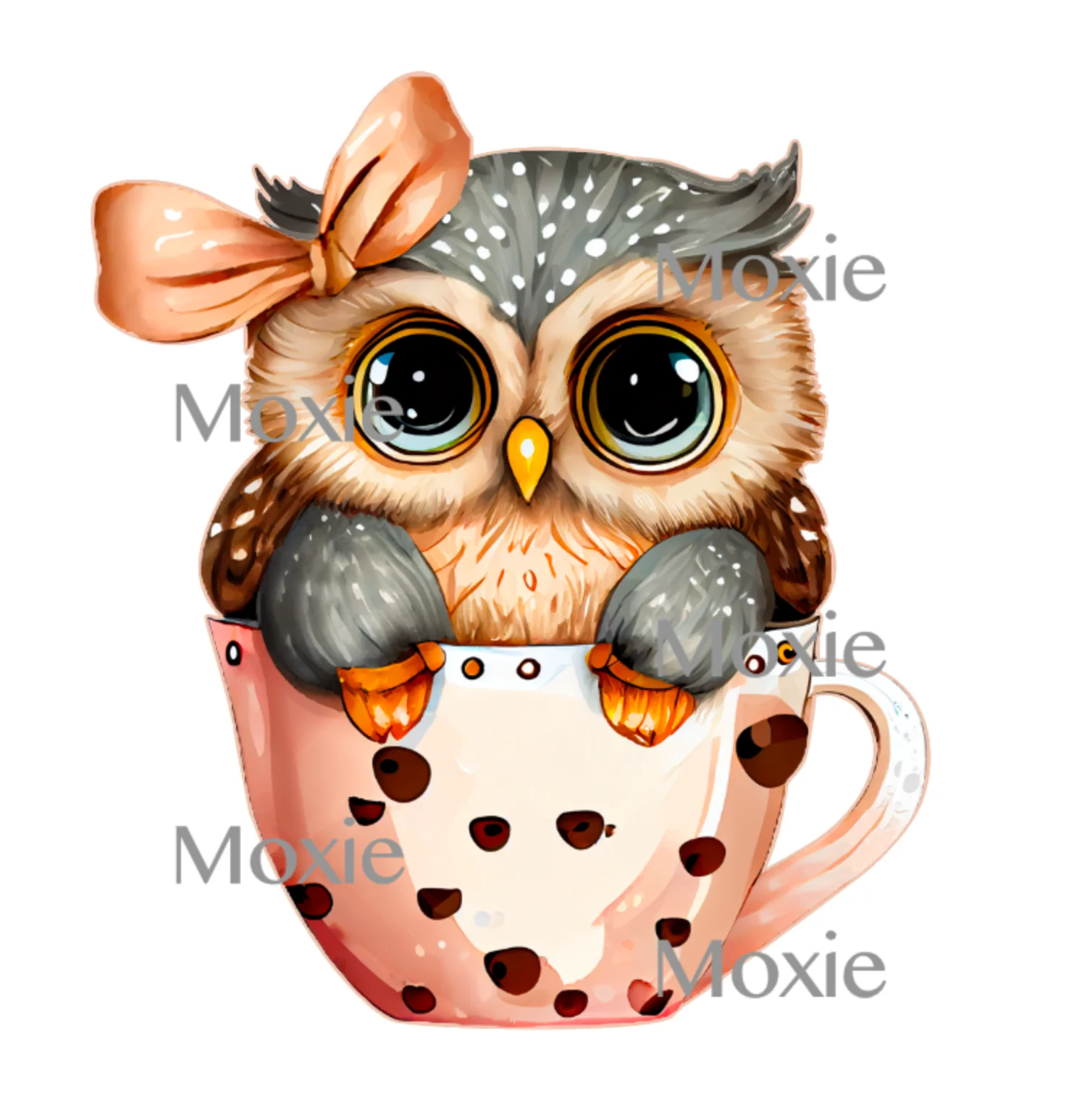 Baby Owl Girl Decal & Acrylic Blank COMBO