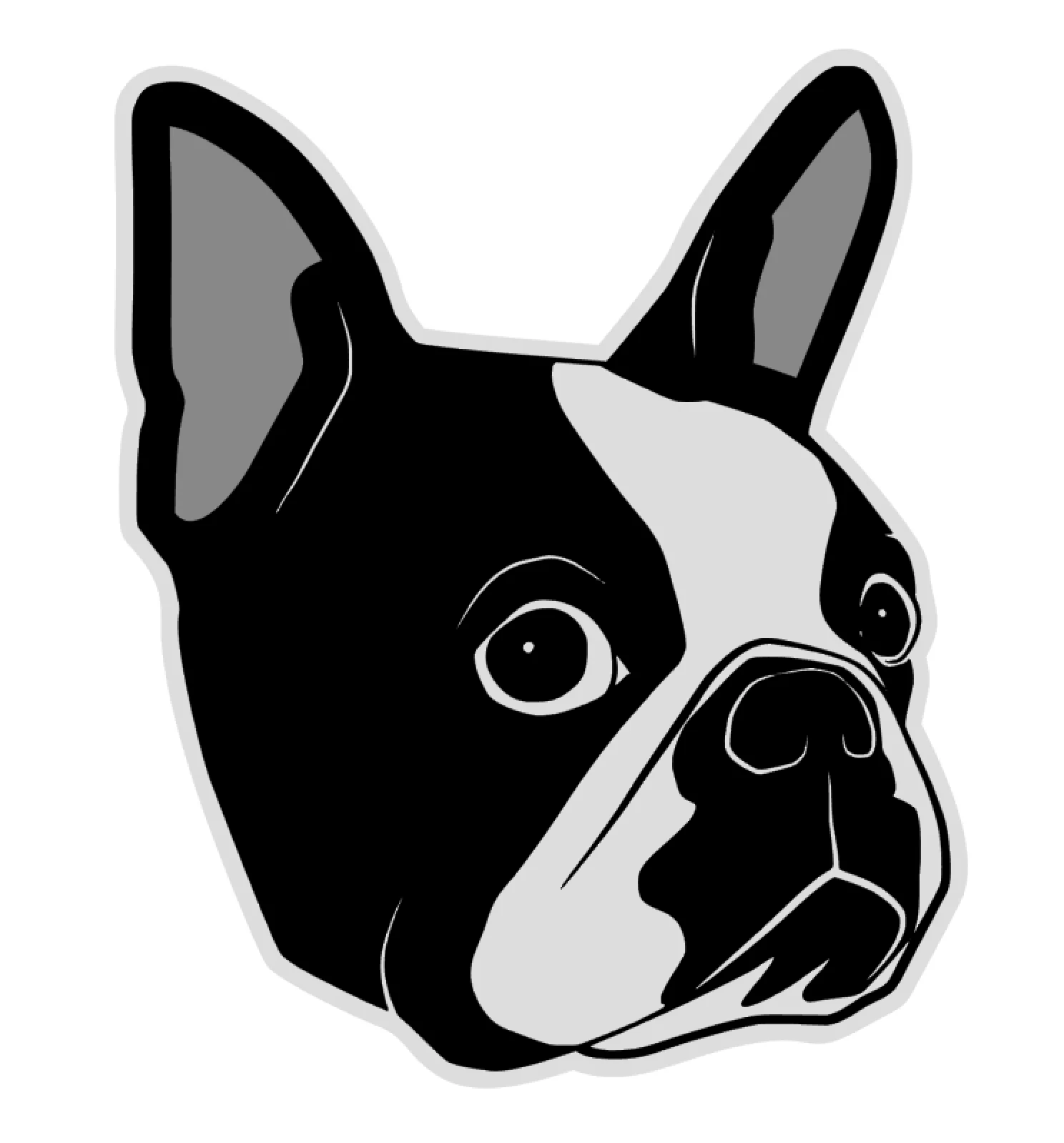 Boston Terrier Face Acrylic Blank - Image 2