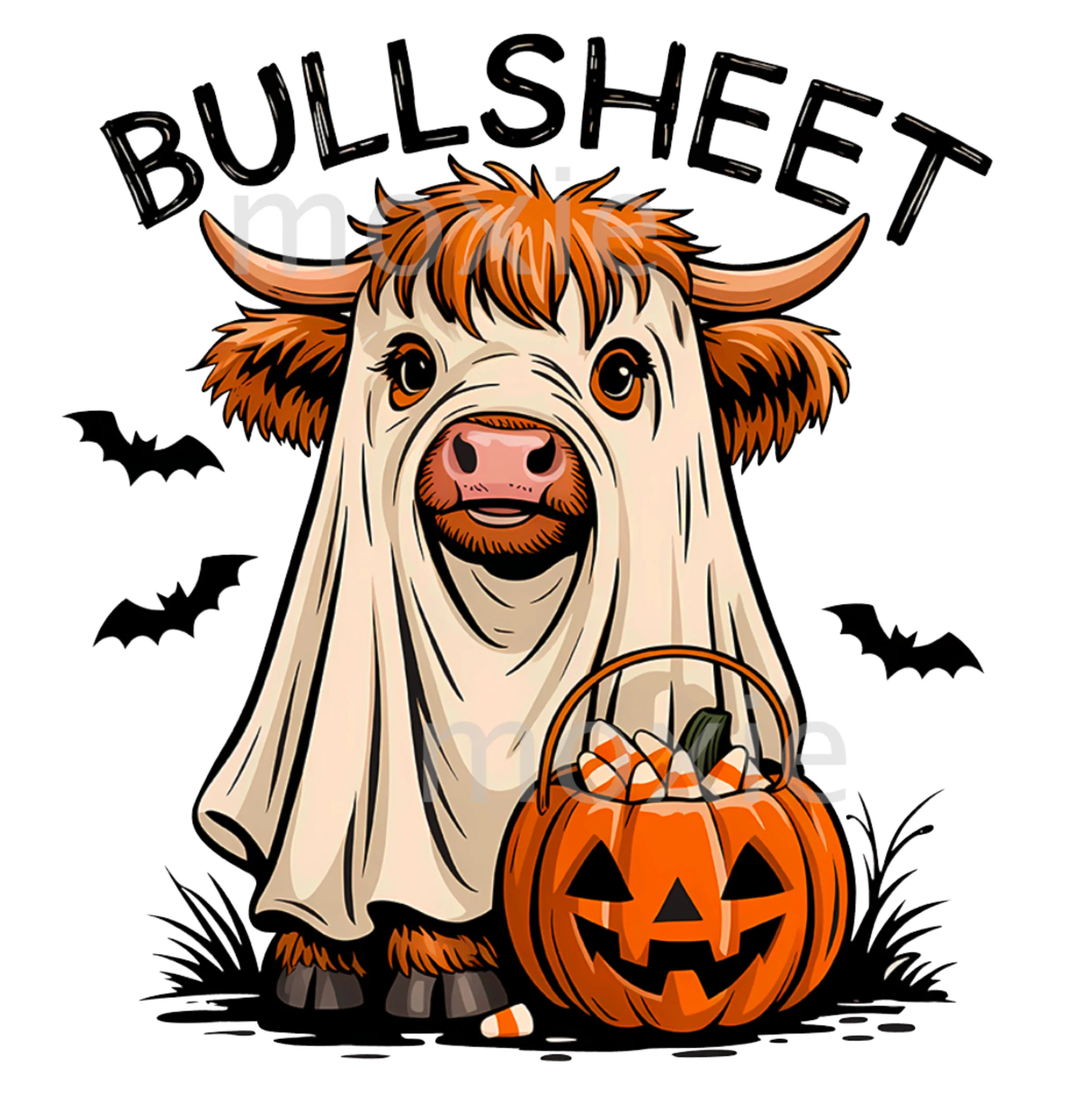 Bull Sheet Decal & Acrylic Blank COMBO