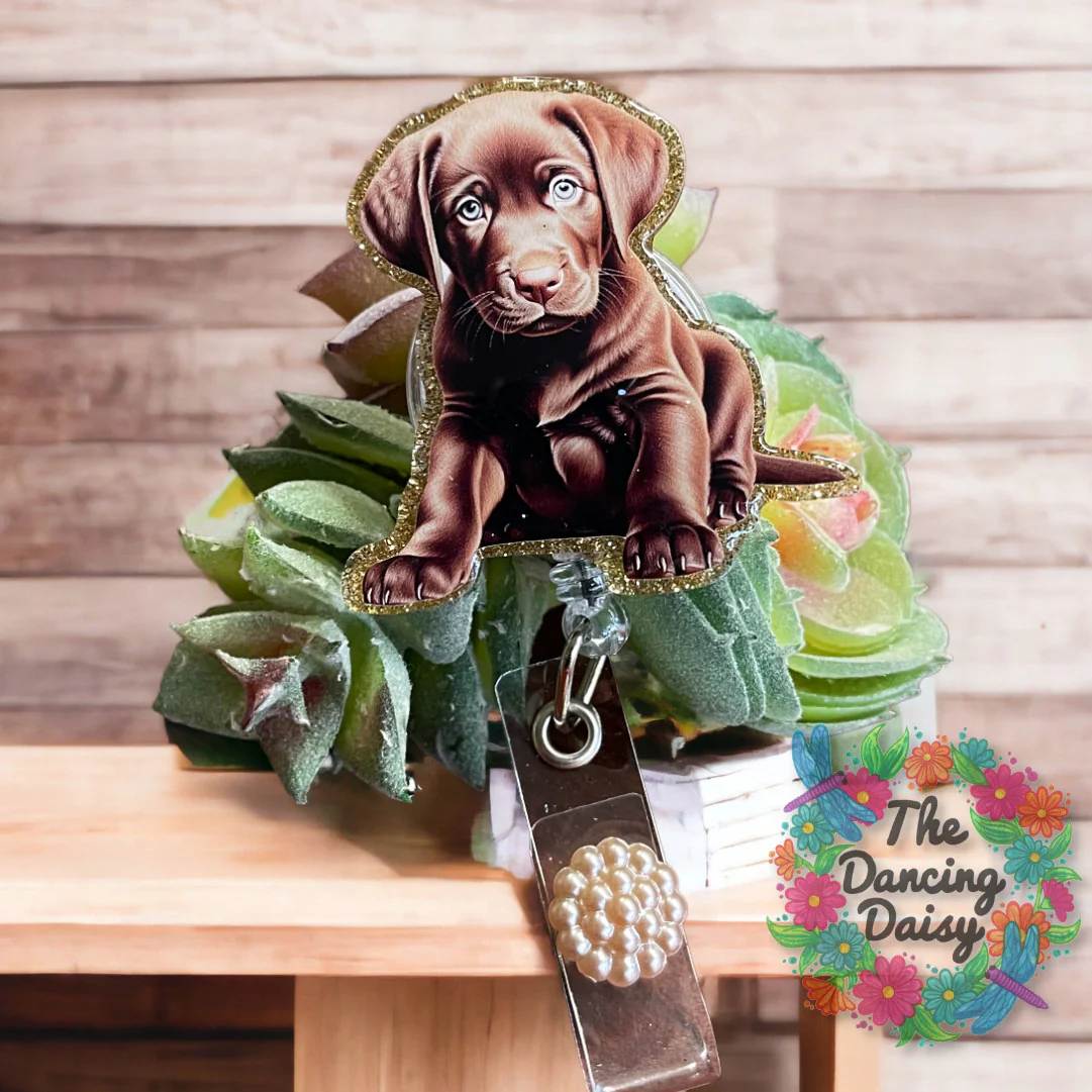 Chocolate Labrador Puppy Decal & Acrylic Blank COMBO - Image 2