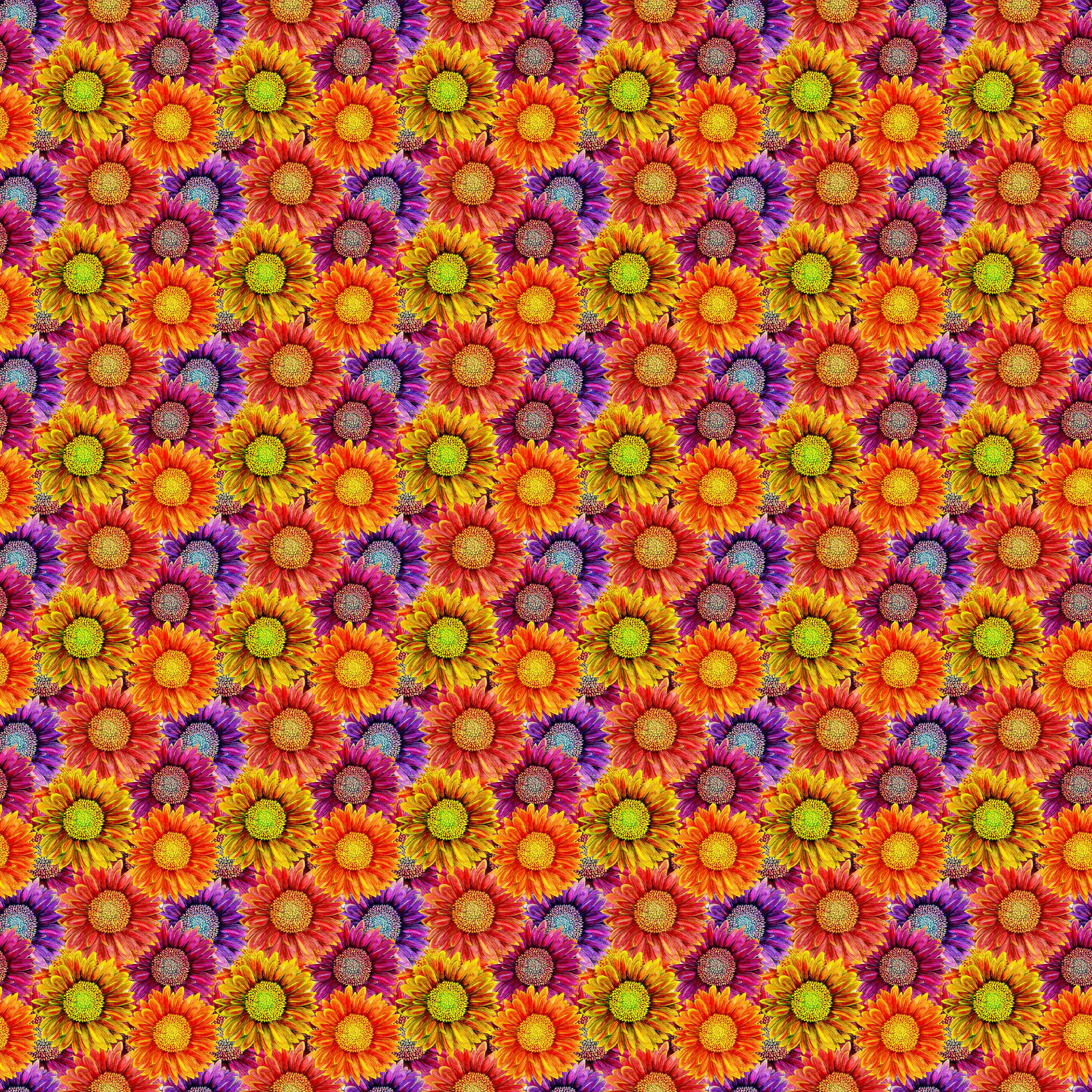 Colorful Sunflowers Vinyl