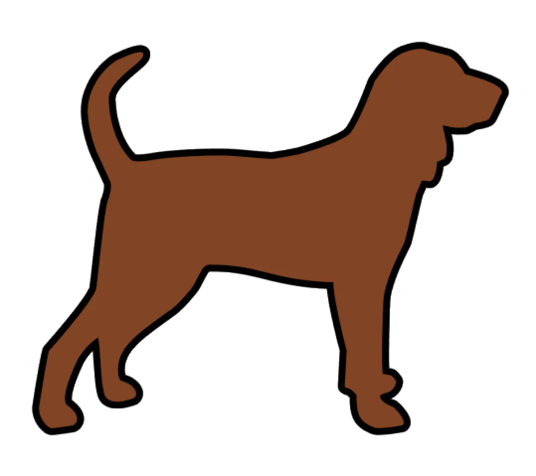 Coonhound Acrylic Blank - Image 2