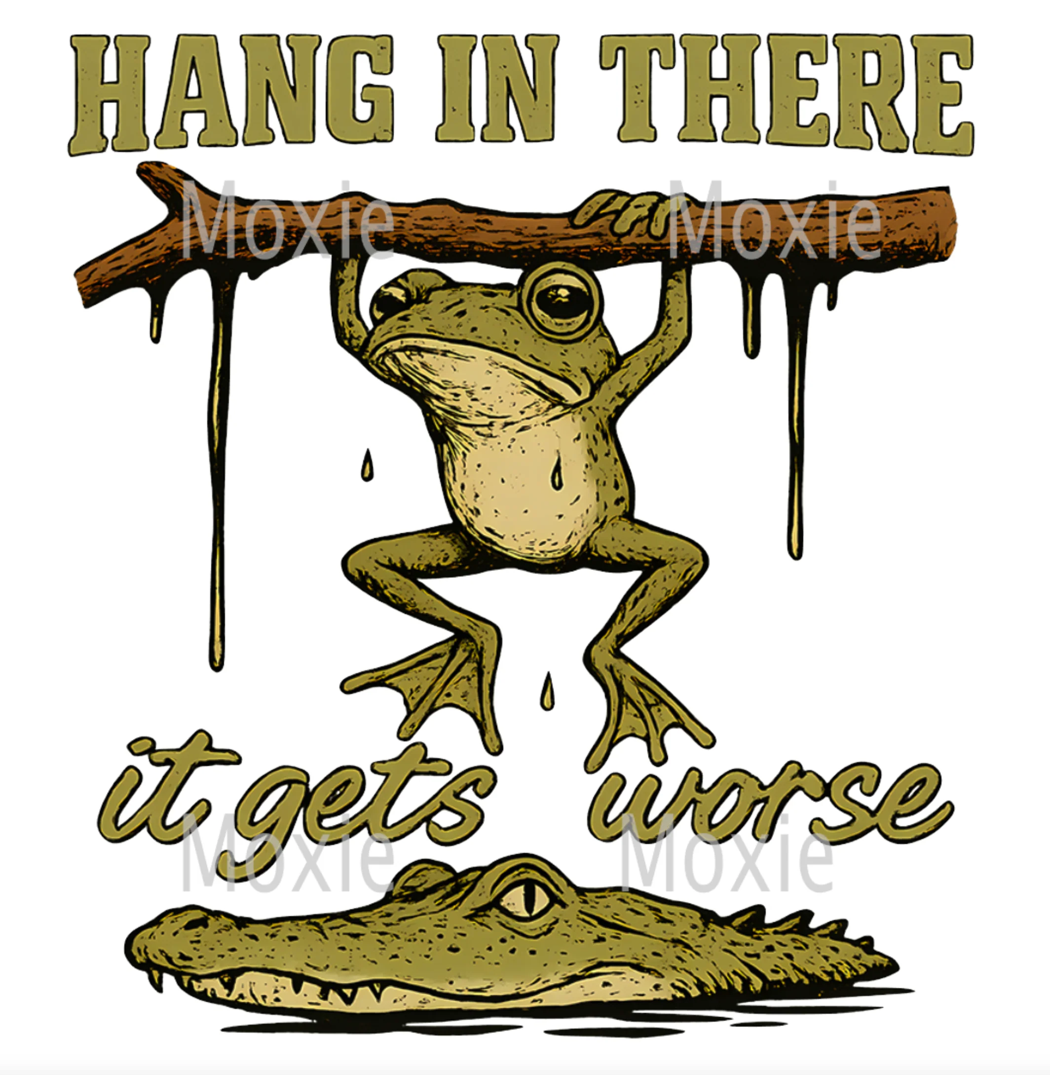 Hang In There Decal & Acrylic Blank COMBO