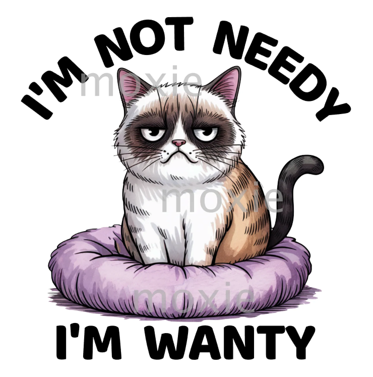 I'm Not Needy I'm Wanty Decal & Acrylic Blank COMBO