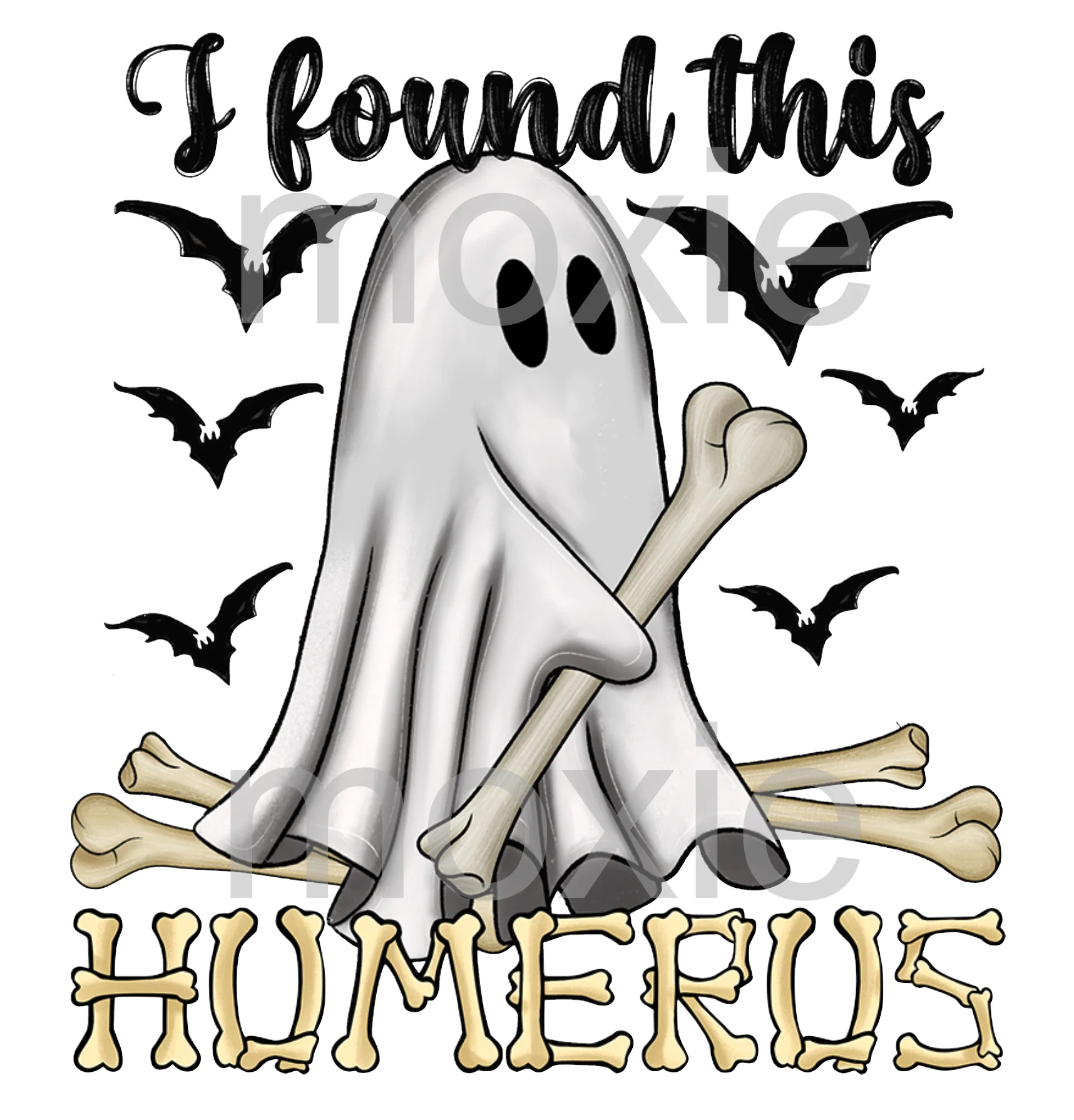 I Found This Humerus Decal & Acrylic Blank COMBO
