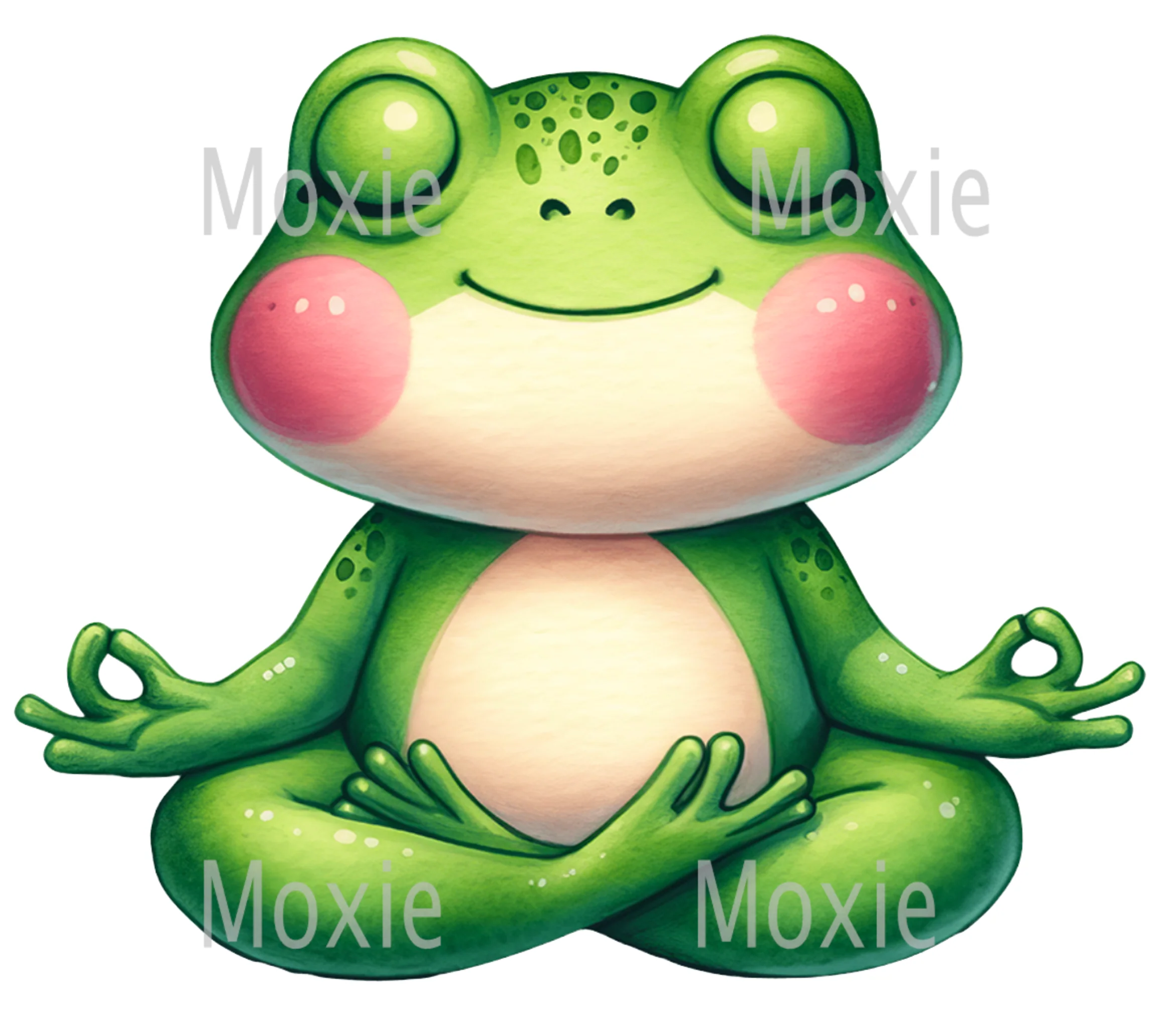 Meditating Frog Decal & Acrylic Blank COMBO