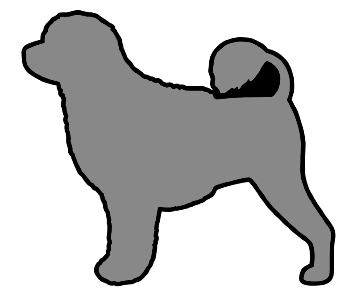 Portuguese Water Dog Acrylic Blank - Image 2