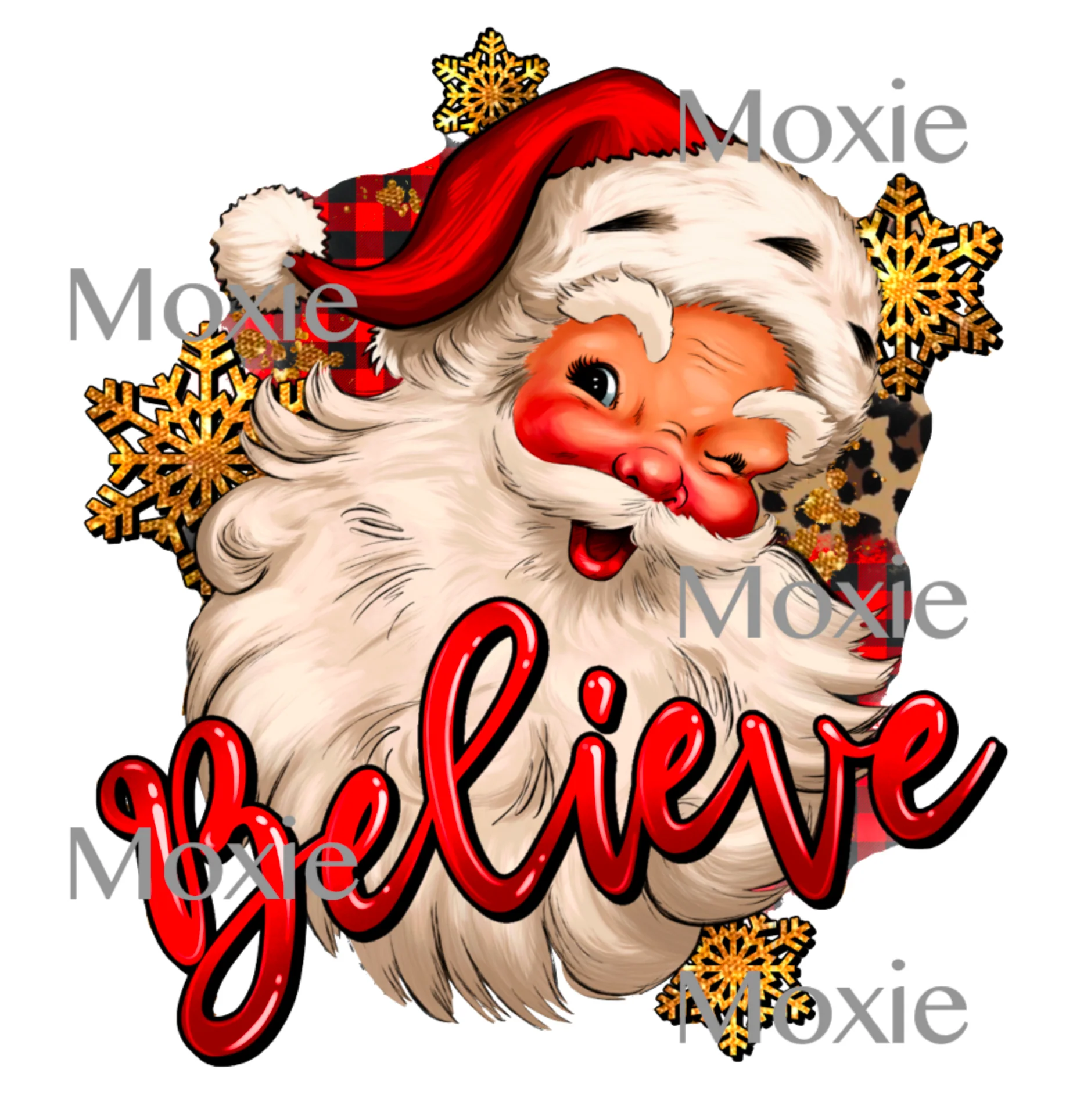 Santa BELIEVE Decal & Acrylic Blank COMBO