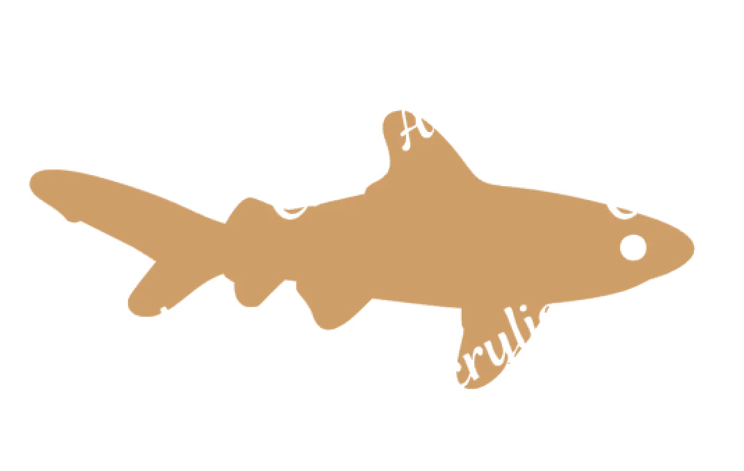 Shark #2 Acrylic Blank