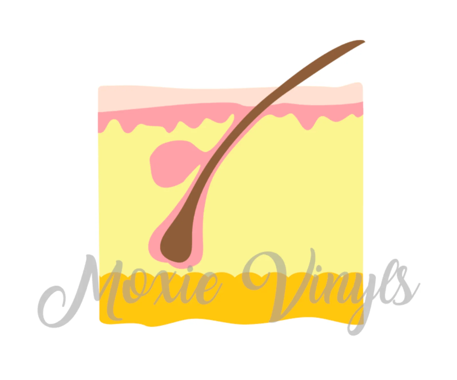 Skin Follicle DECAL