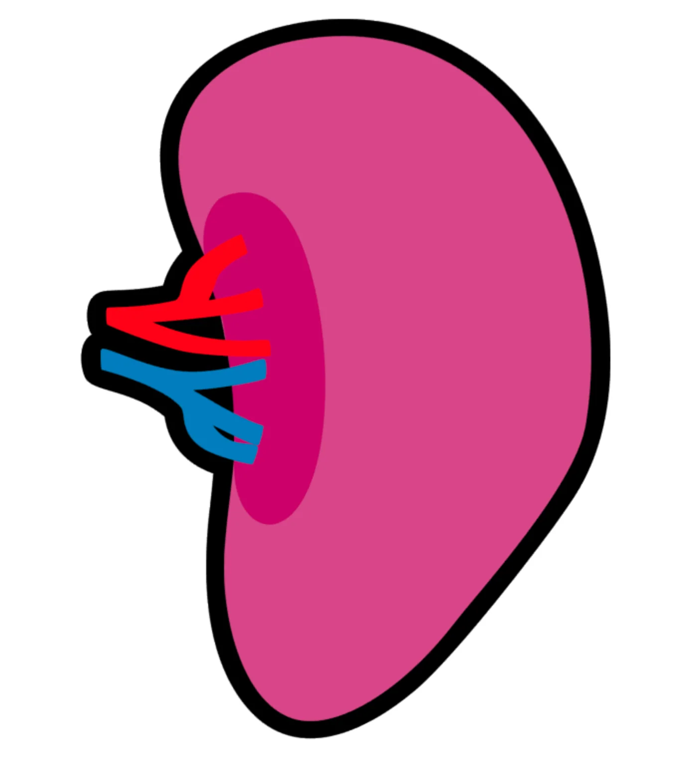 Spleen Acrylic Blank - Image 2