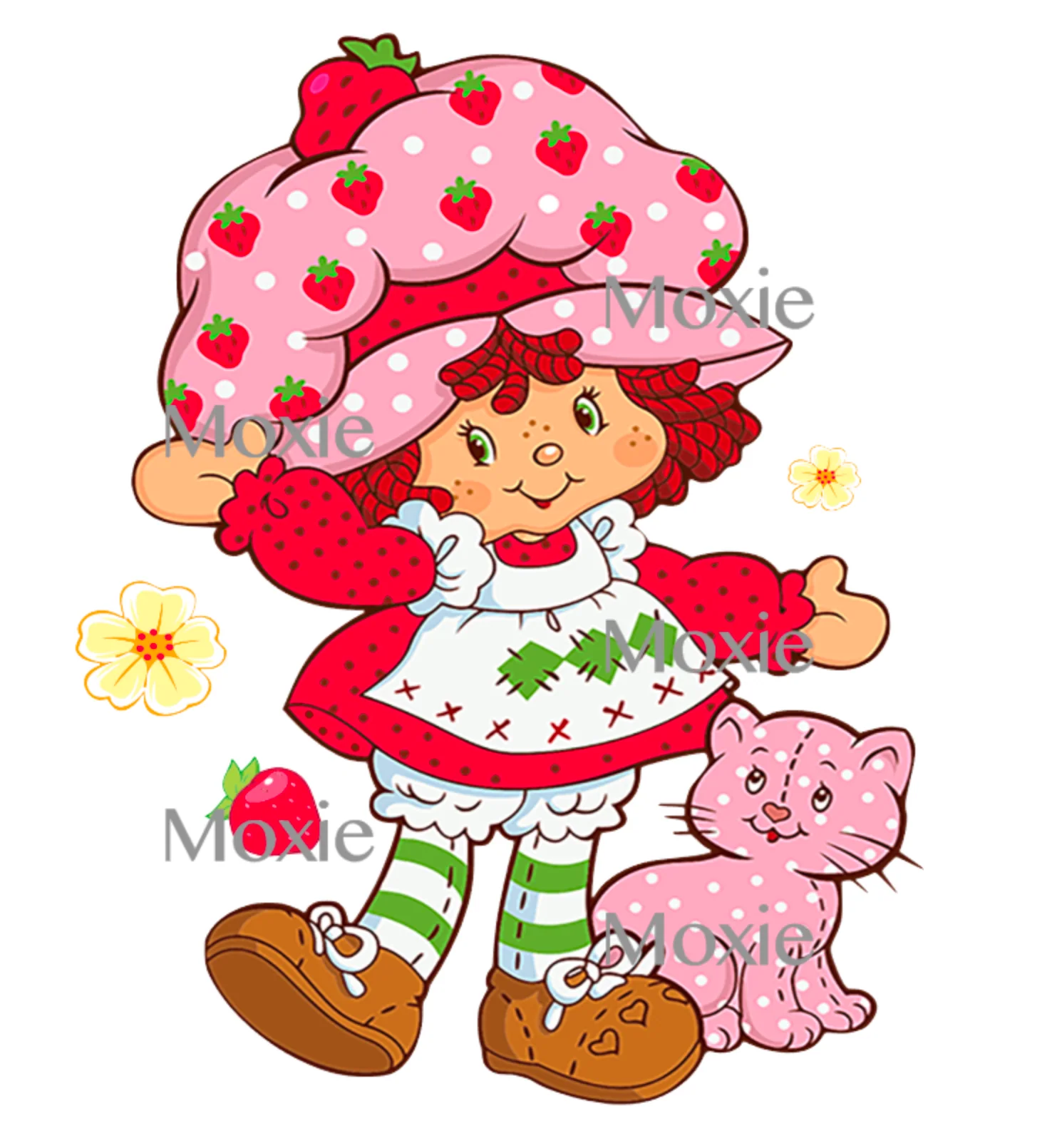 Strawberry Shortcake Decal & Acrylic Blank COMBO