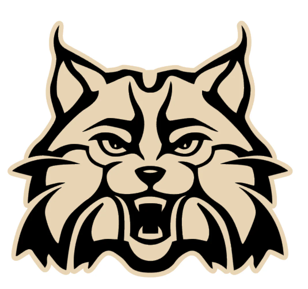Wildcat Face Acrylic Blank - Image 2